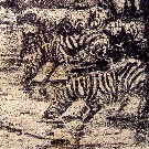 Thumb Trinkende Zebras